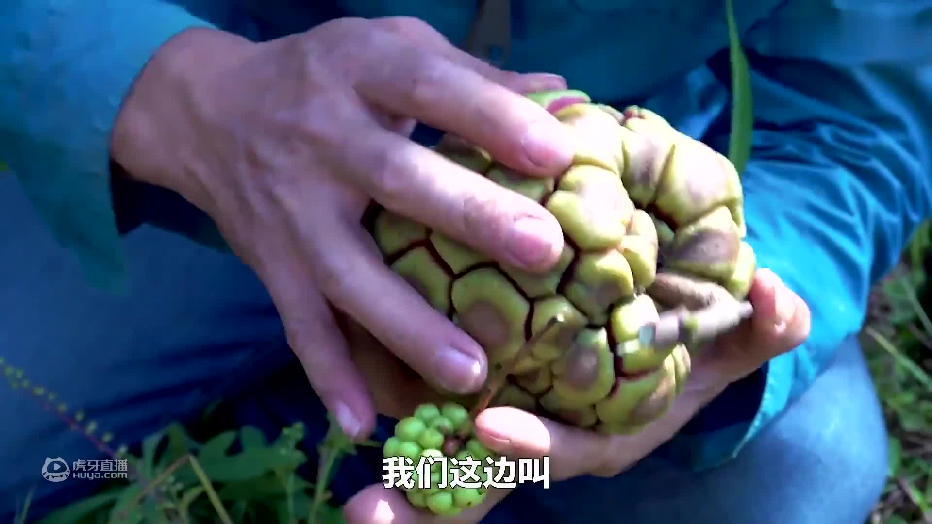 华农兄弟：兄弟来我家，看他最近胖了，烤健身鸡给他吃