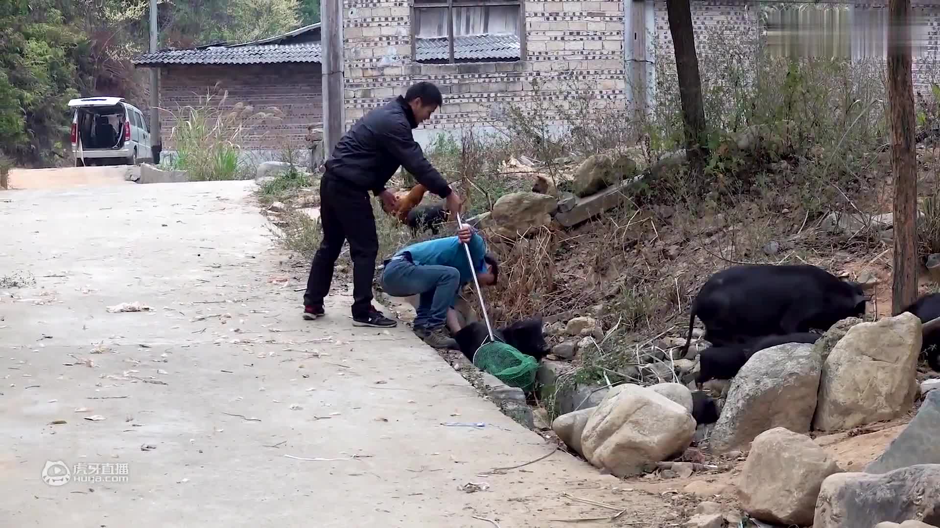 华农兄弟：兄弟来我家，看他最近胖了，烤健身鸡给他吃