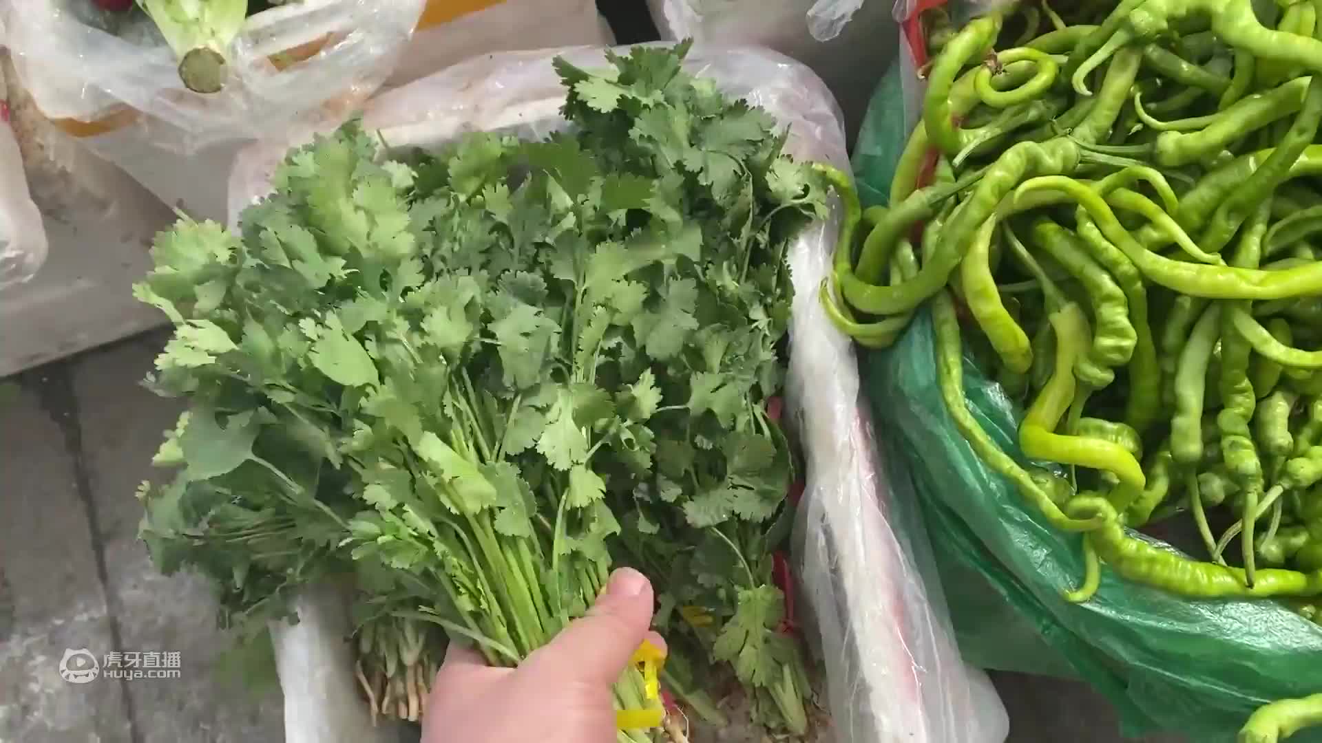 天仓吃饺子，一把韭菜，60块钱肉馅，煮了2锅水饺，差点吃光