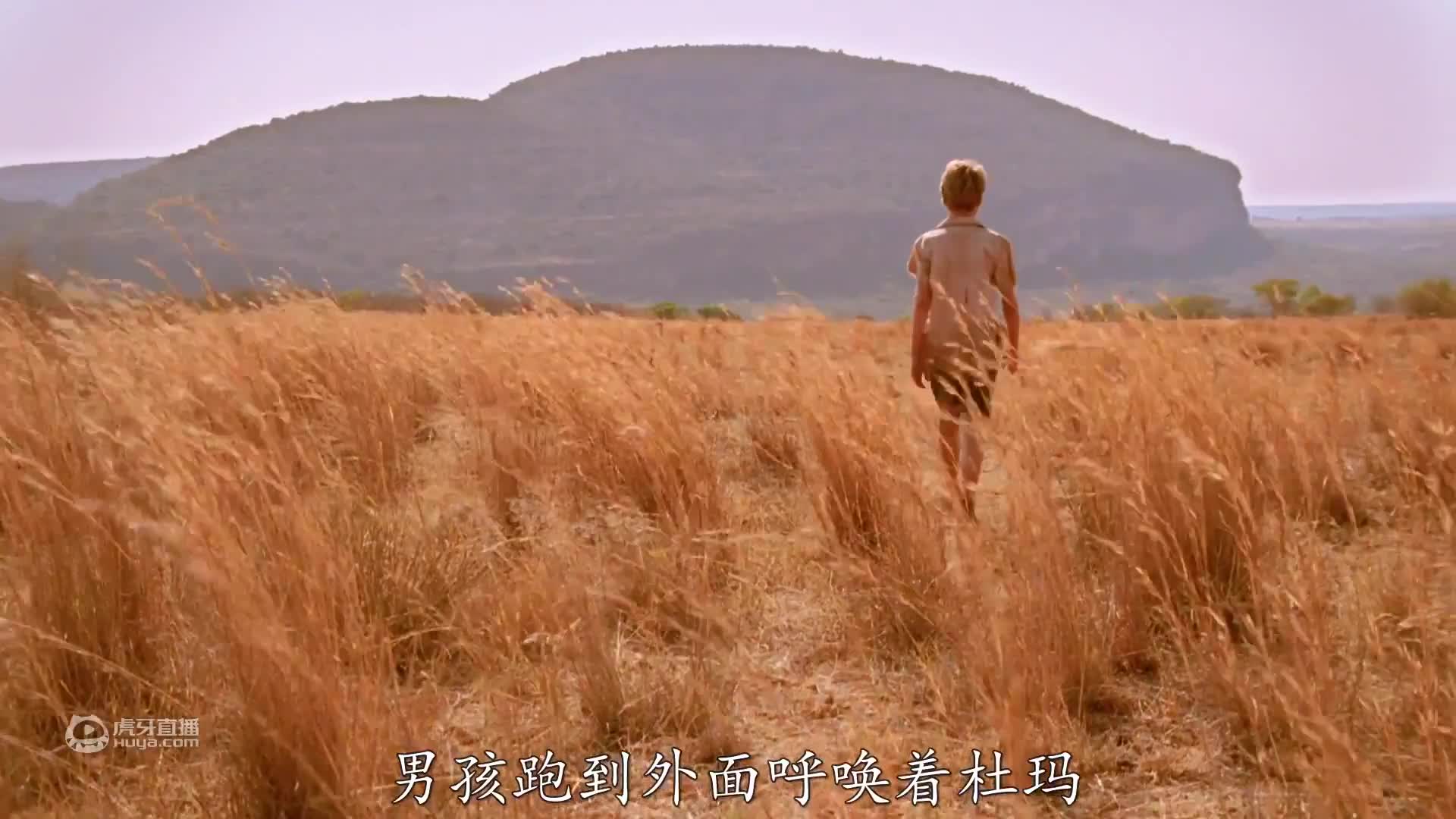 宫崎骏系列的治愈动画，小人族女孩与人类男孩之间的友谊！