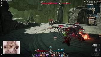 【命運方舟】一個喜歡吃排骨的佛系主播