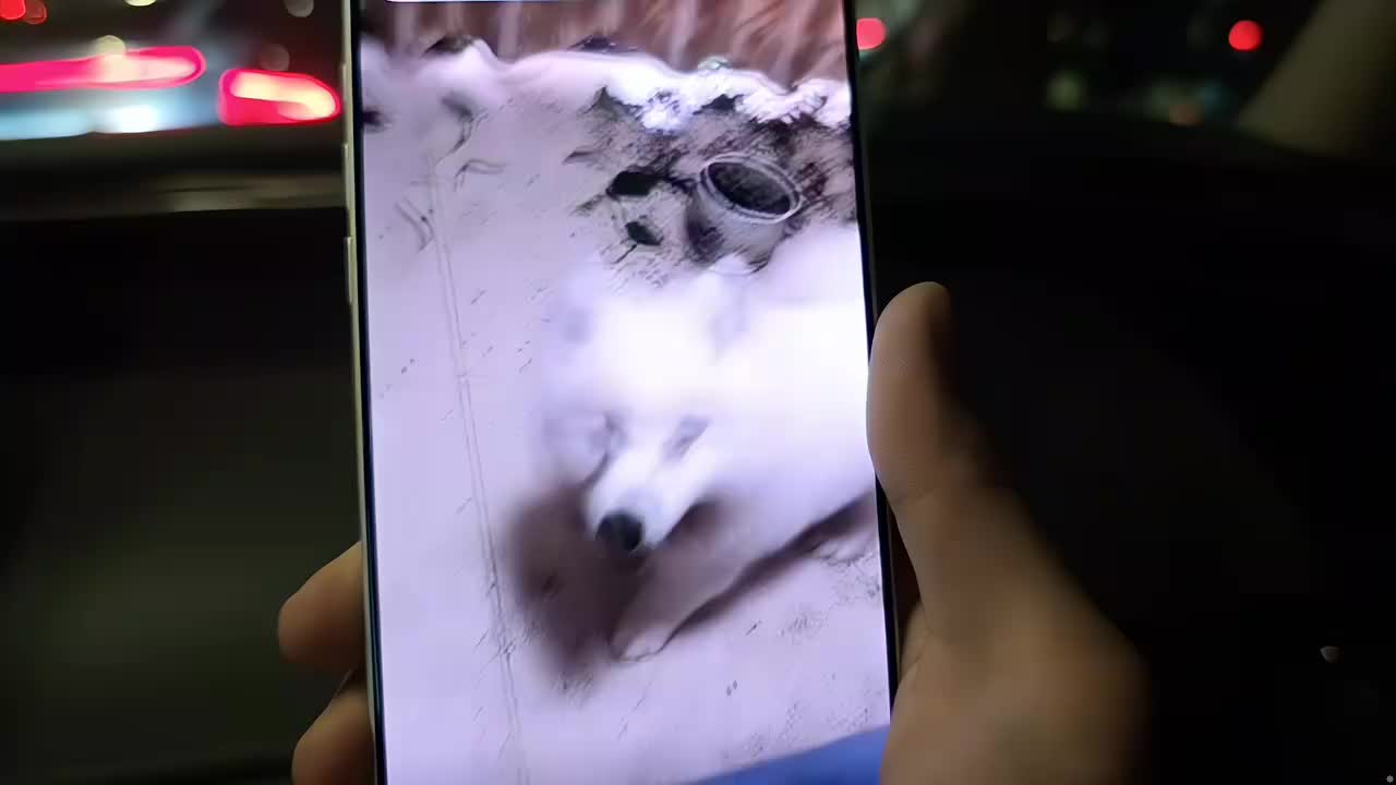 魔鬼月指挥部-抵达南宁