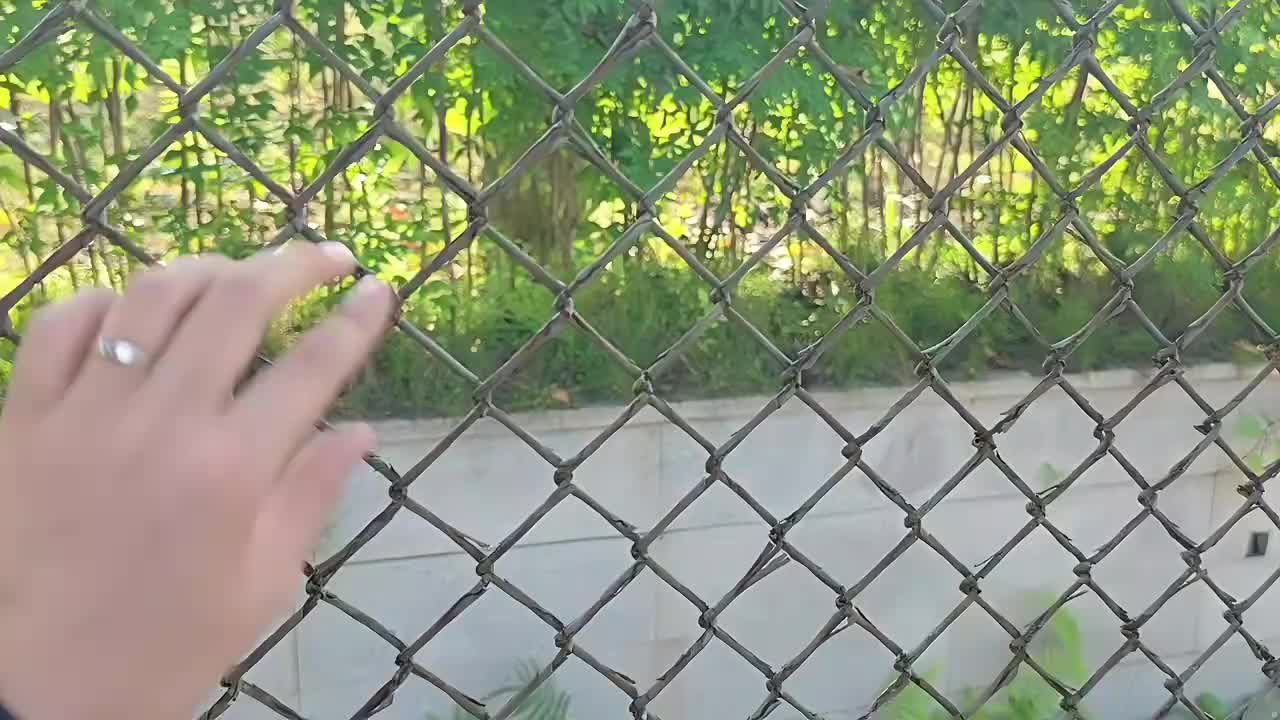 庄园巅峰对决 相遇!