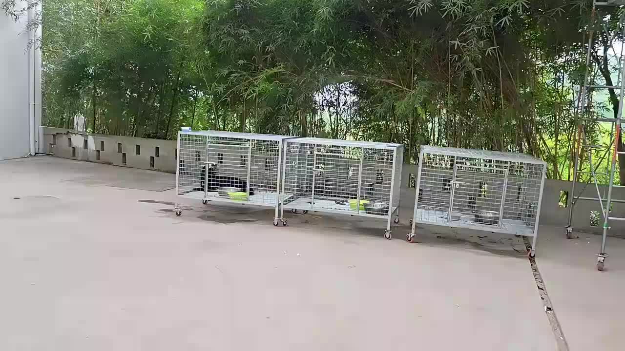 庄园巅峰对决 相遇!