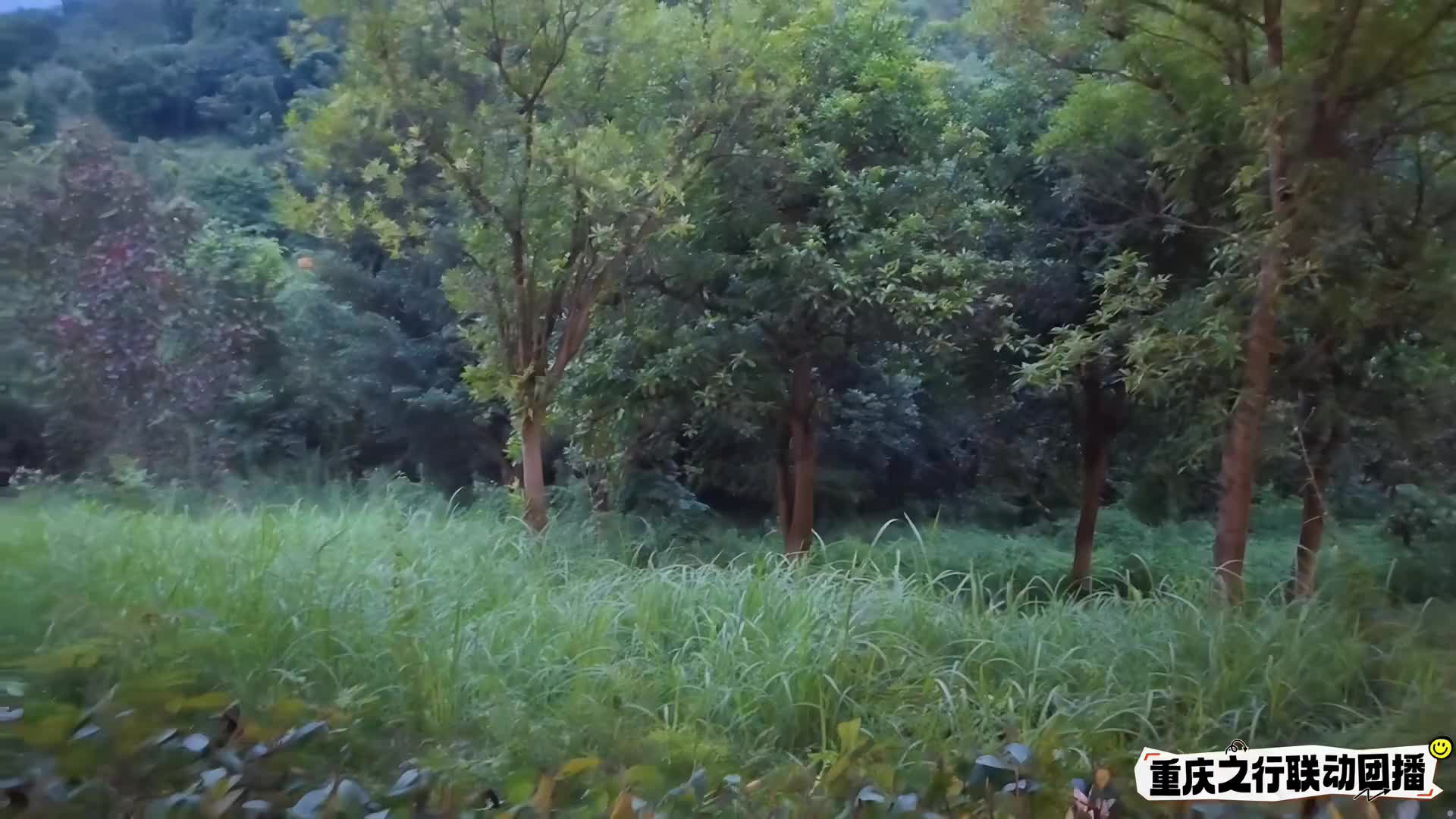 庄园联合团播 相遇!