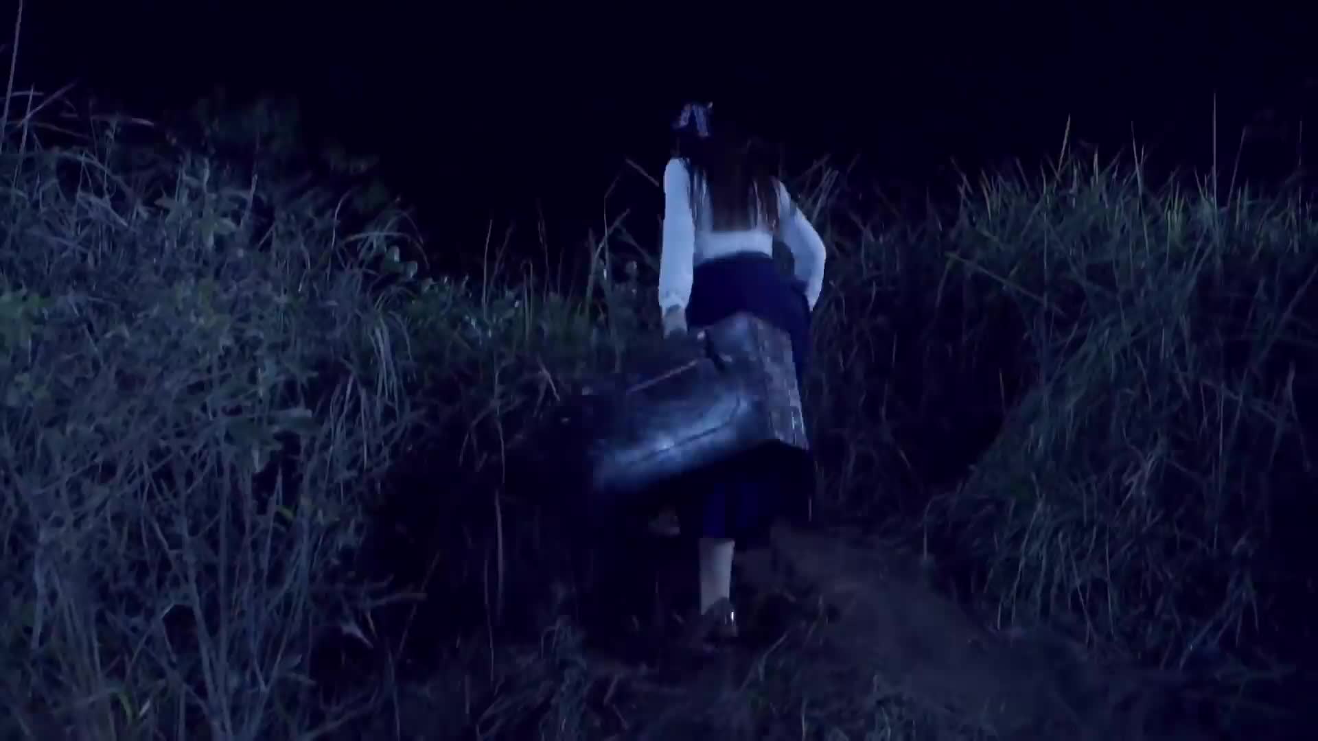 黑狐之风影 雪豹后传