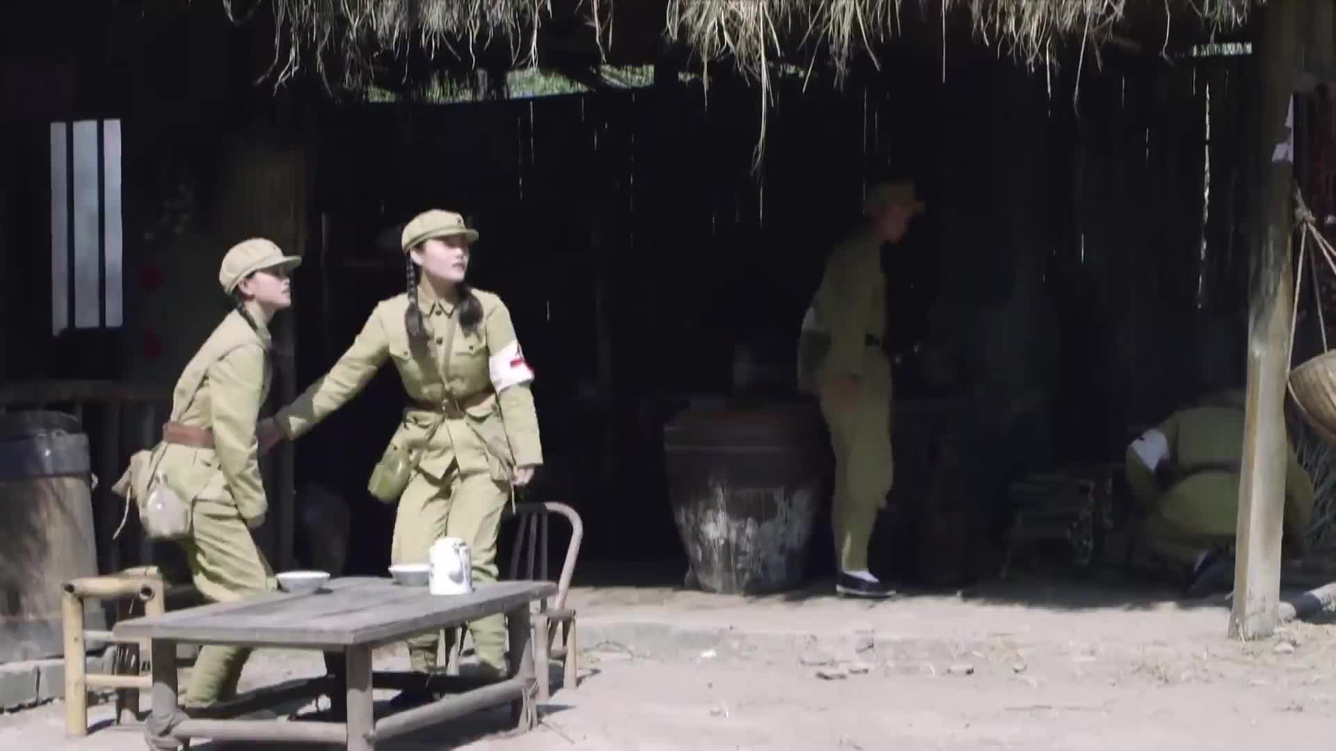 黑狐之风影 雪豹后传