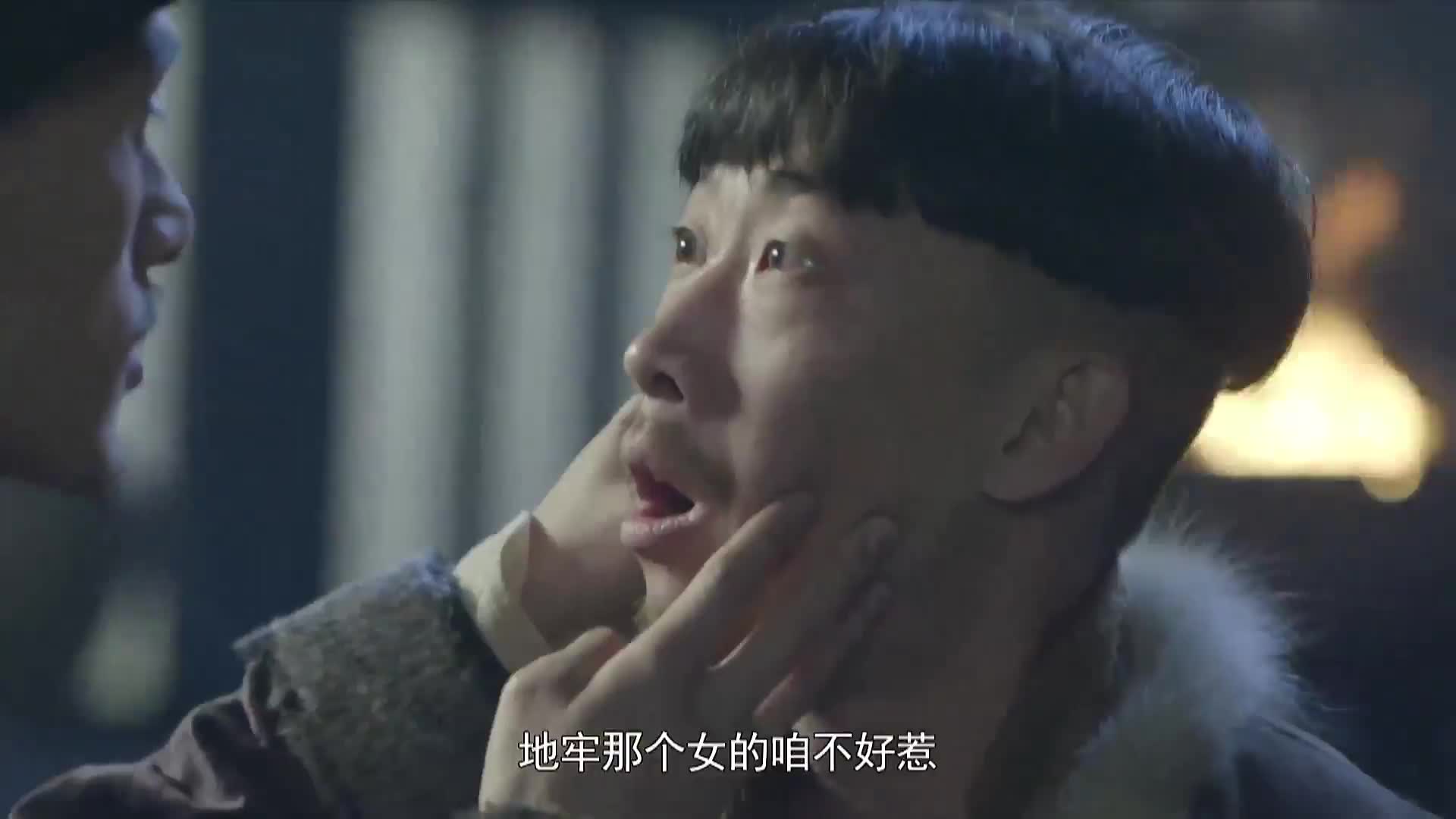 黑狐之风影 雪豹后传