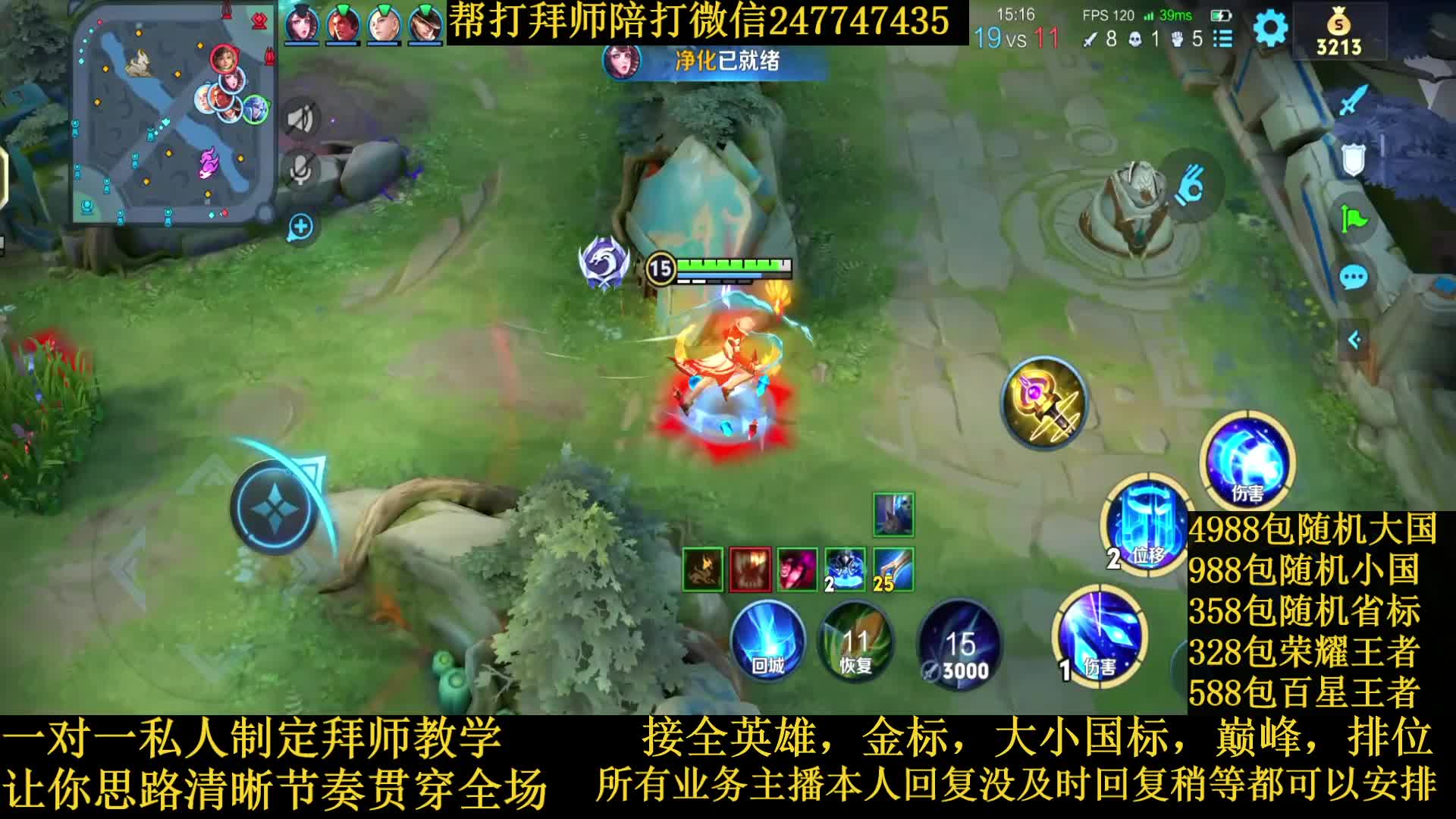 国服诸葛节奏野导师接一切业务包满意免费带