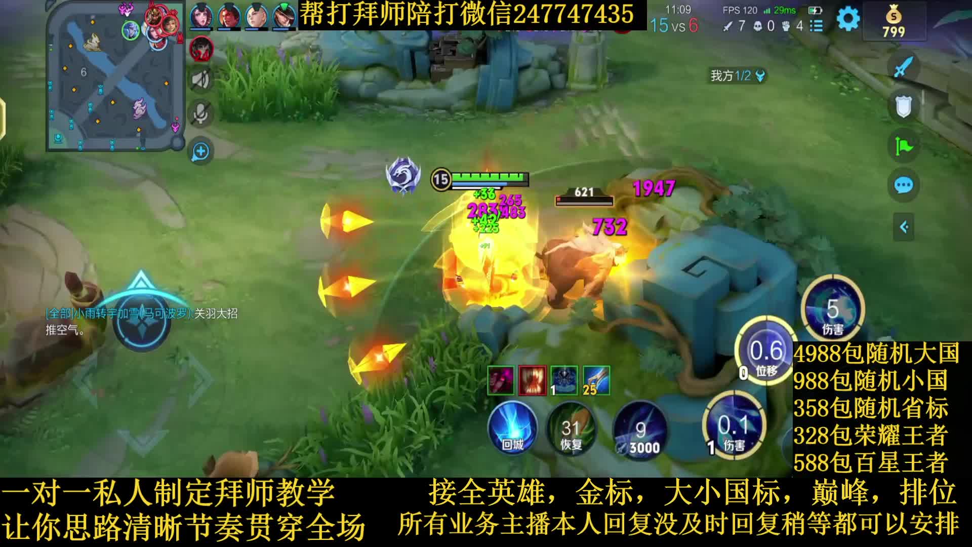 国服诸葛节奏野导师接一切业务包满意免费带