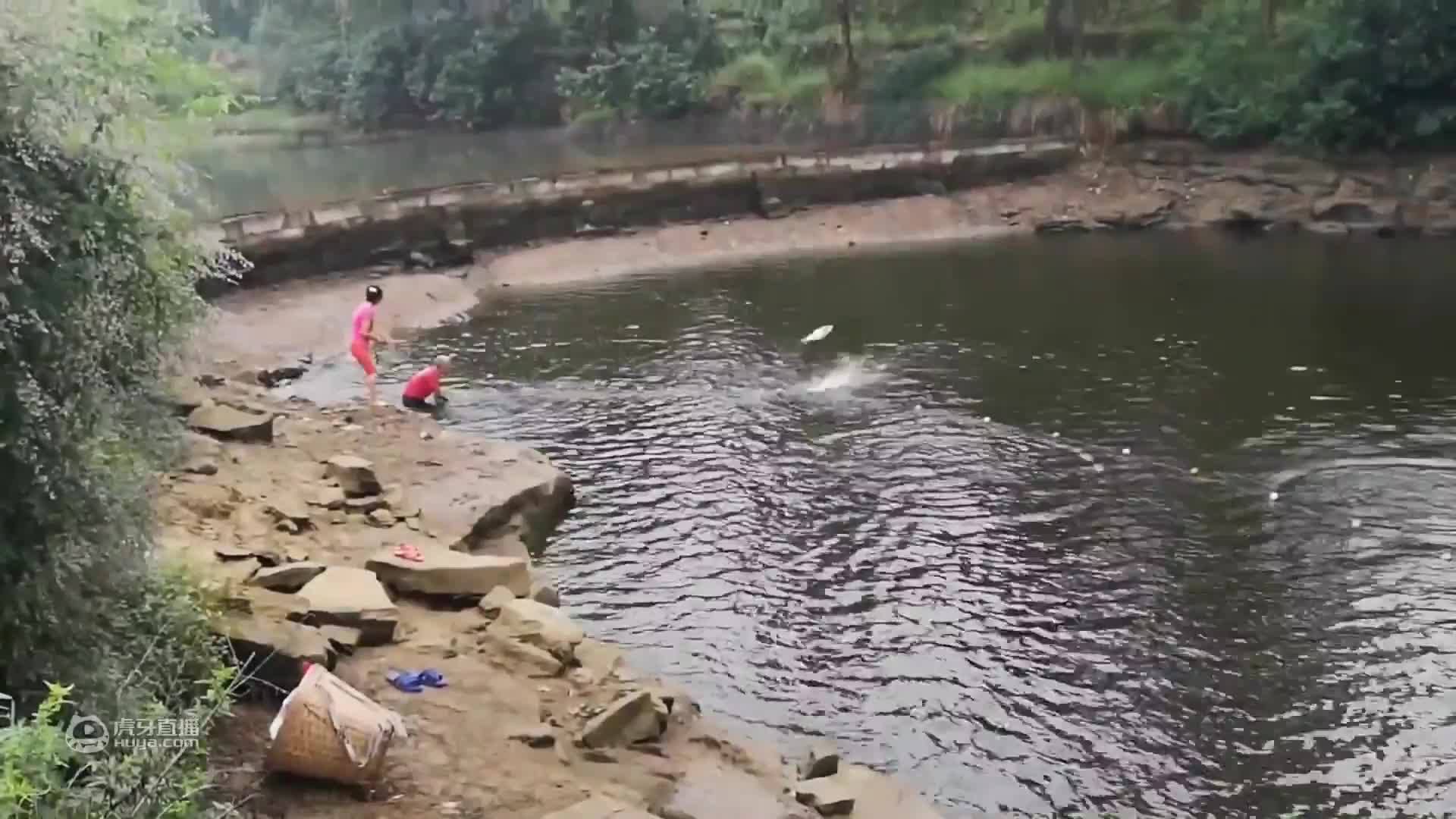 乡间小河水清鱼多，钓鱼人的世外桃源