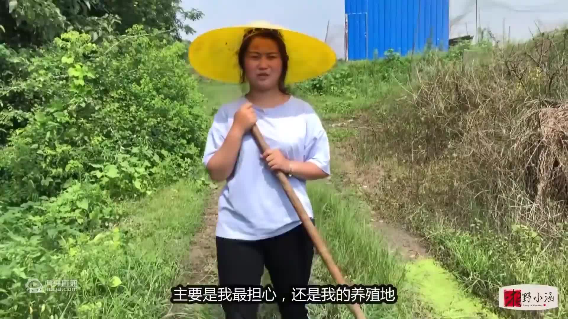 90后姑娘用一年时间拍农村致富经，自己干起养殖，本小利大又赚钱