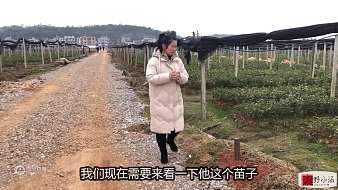 湘野小涵SKY光遇直播_湘野小涵視頻直播 - 虎牙直播