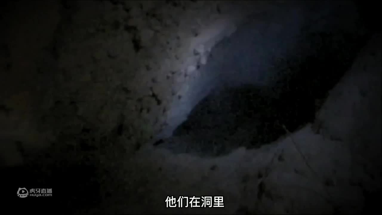 荒野求生：贝爷在爱尔兰用绵羊皮，做成救生圈，成功穿越海峡