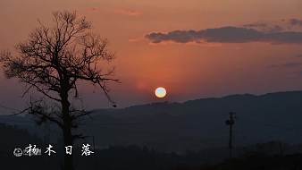 星辰網(wǎng)紅學(xué)院-楊木村虎牙地方直播_星辰網(wǎng)紅學(xué)院-楊木村視頻直播 - 虎牙直播