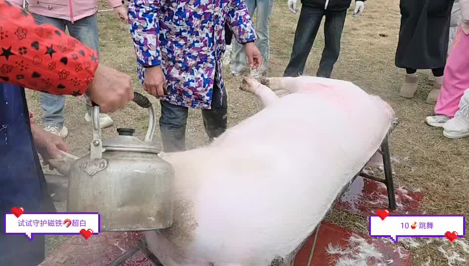 一碗刨猪汤，一缕烟火气