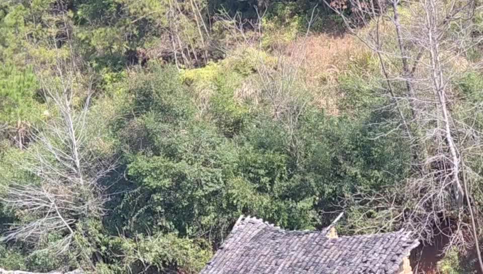 今天去鬼火豆家～