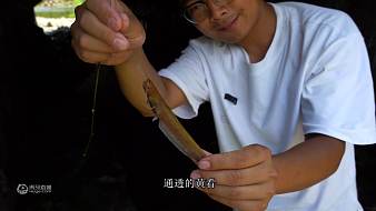 愛(ài)野釣的小范戶外直播_愛(ài)野釣的小范視頻直播 - 虎牙直播