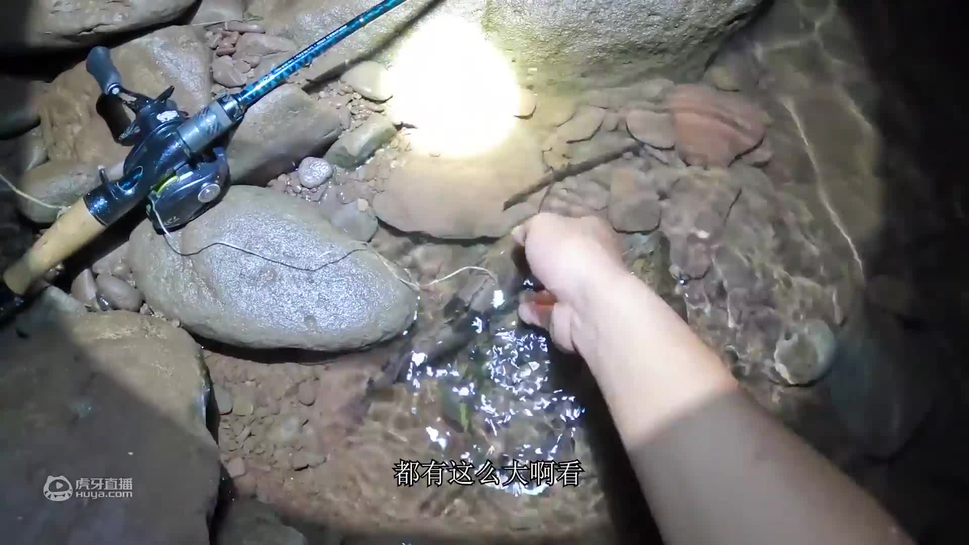 欢迎来到爱野钓的小范的直播间