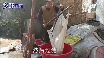 鄉(xiāng)野魚哥虎牙地方直播_鄉(xiāng)野魚哥視頻直播 - 虎牙直播