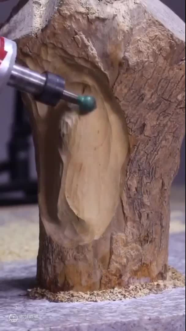 受伤的”知了“！裂缝，是光进来的地方 【黄杨木-木雕-蝉】