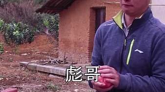青山烏狼虎牙地方直播_青山烏狼視頻直播 - 虎牙直播