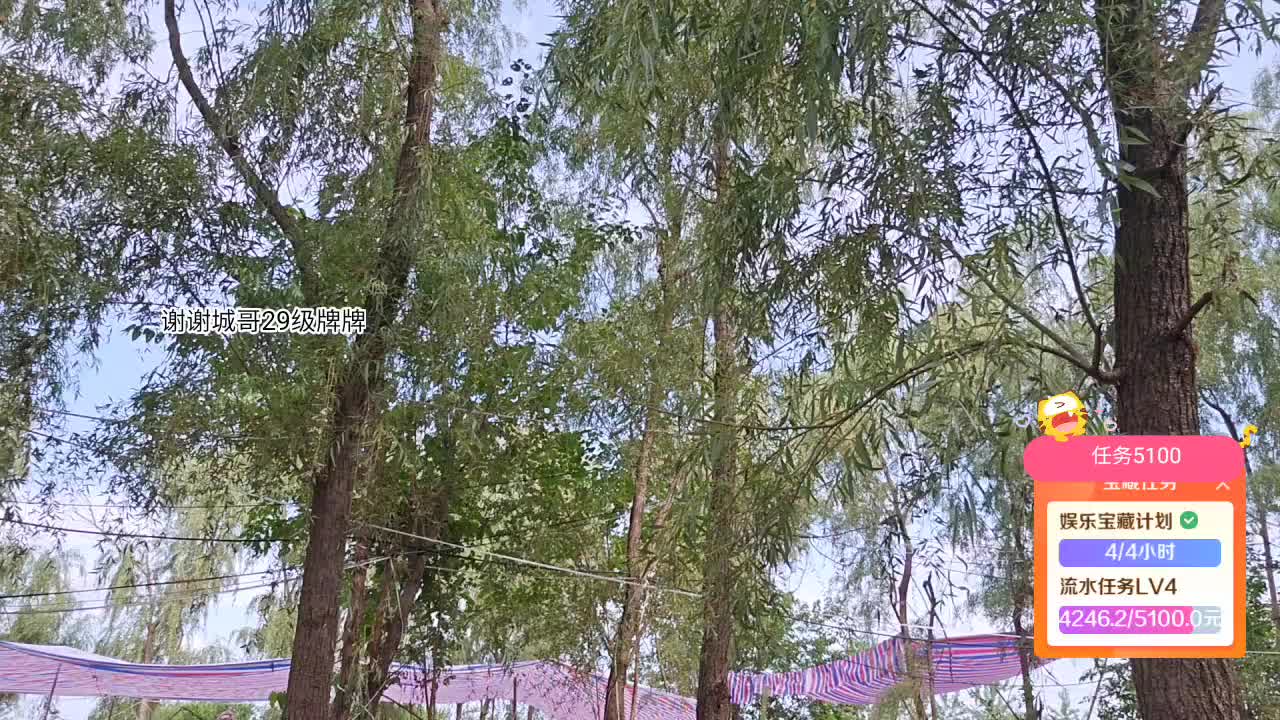 道醋穷 a队加油呀！