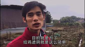 農(nóng)村創(chuàng)業(yè)小哥虎牙地方直播_農(nóng)村創(chuàng)業(yè)小哥視頻直播 - 虎牙直播