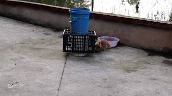 農(nóng)村欣妹兒虎牙地方直播_農(nóng)村欣妹兒視頻直播 - 虎牙直播