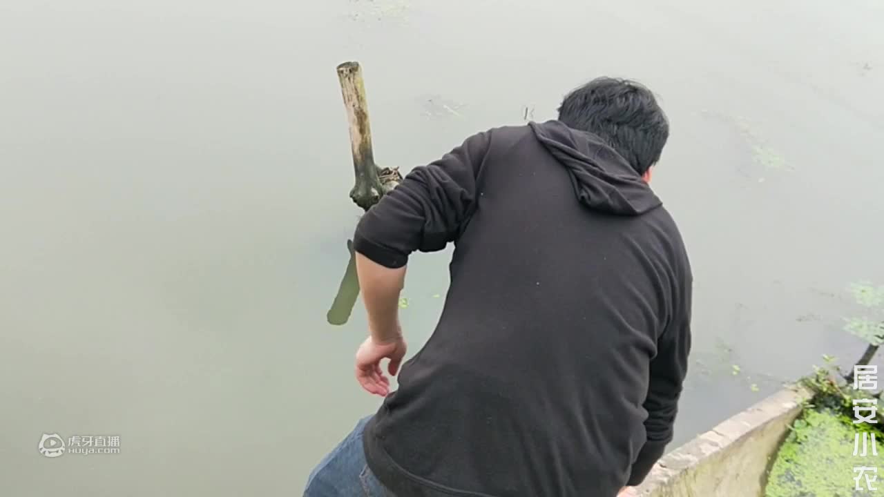 鸡蛋这样做比蛋糕好吃，不揉面不发面，筷子一搅，刚出锅就抢着吃