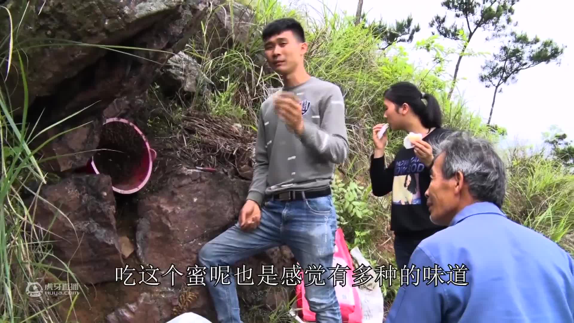 阿威诱蜂为什么那么容易来，因为诱蜂桶处理有窍门，今天透露给大