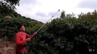 老林趕野虎牙地方直播_老林趕野視頻直播 - 虎牙直播