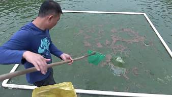 老林趕野虎牙地方直播_老林趕野視頻直播 - 虎牙直播