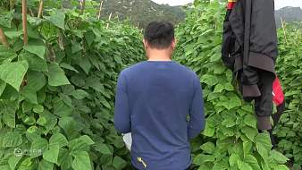 老林趕野虎牙地方直播_老林趕野視頻直播 - 虎牙直播
