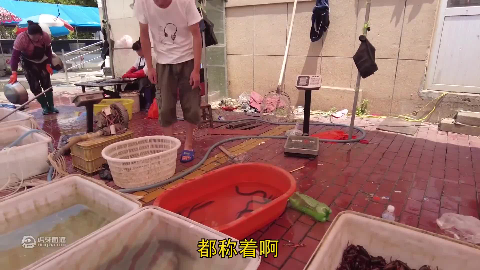 770买只5斤多花皮波龙，做清蒸波龙，肉质劲道鲜美，喝点酒过瘾