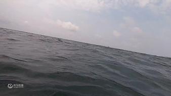 探海漁人戶外直播_探海漁人視頻直播 - 虎牙直播