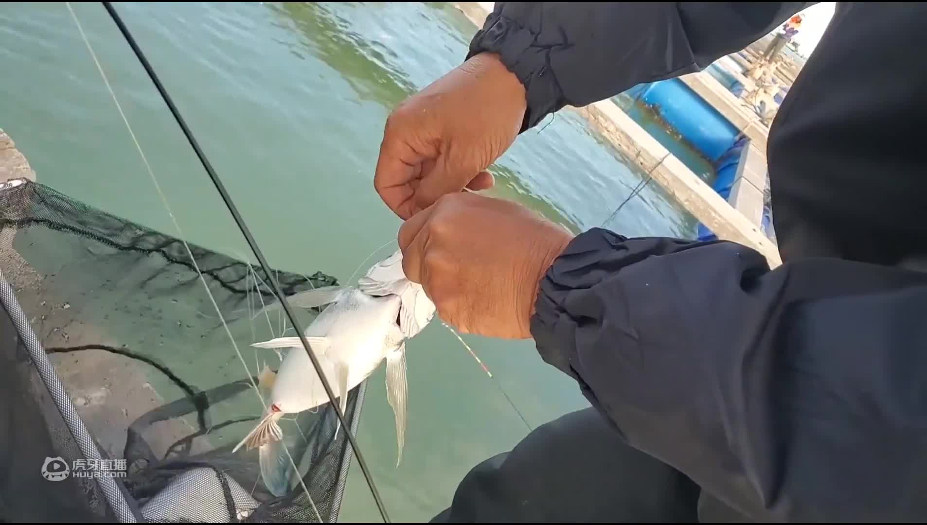 阿豪钓到这种古怪的鱼，长的太像人脸了，形状太恐怖了