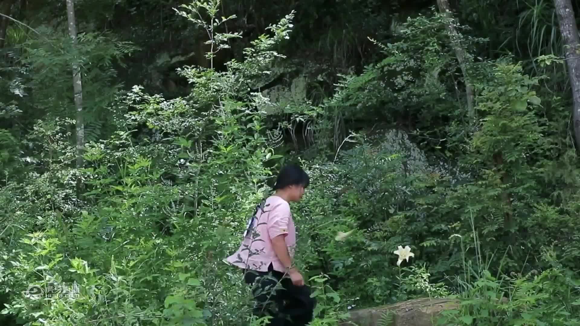 闻着花香味，在悬崖边找了美味的食材