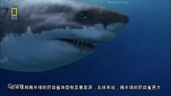 Dinosaur-king互動點(diǎn)播直播_Dinosaur-king視頻直播 - 虎牙直播