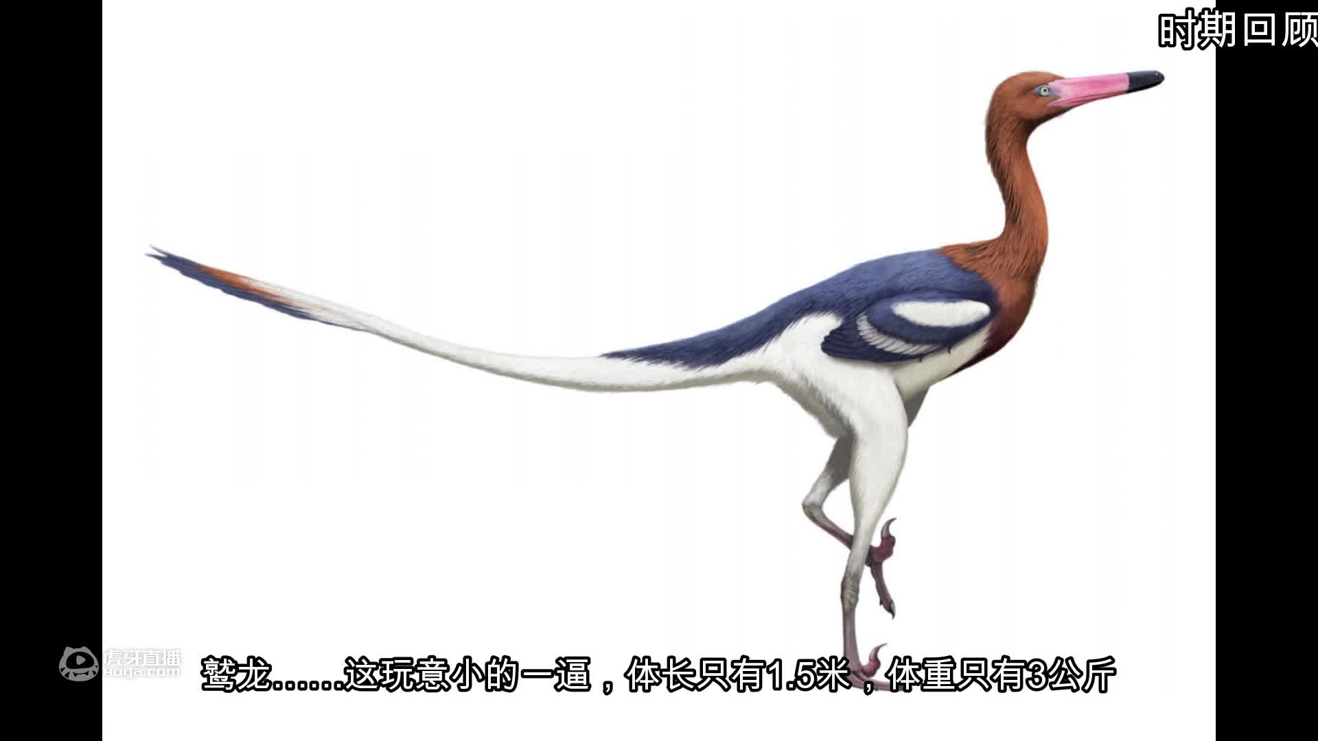 方舟区爱恐龙吗？【轮播】