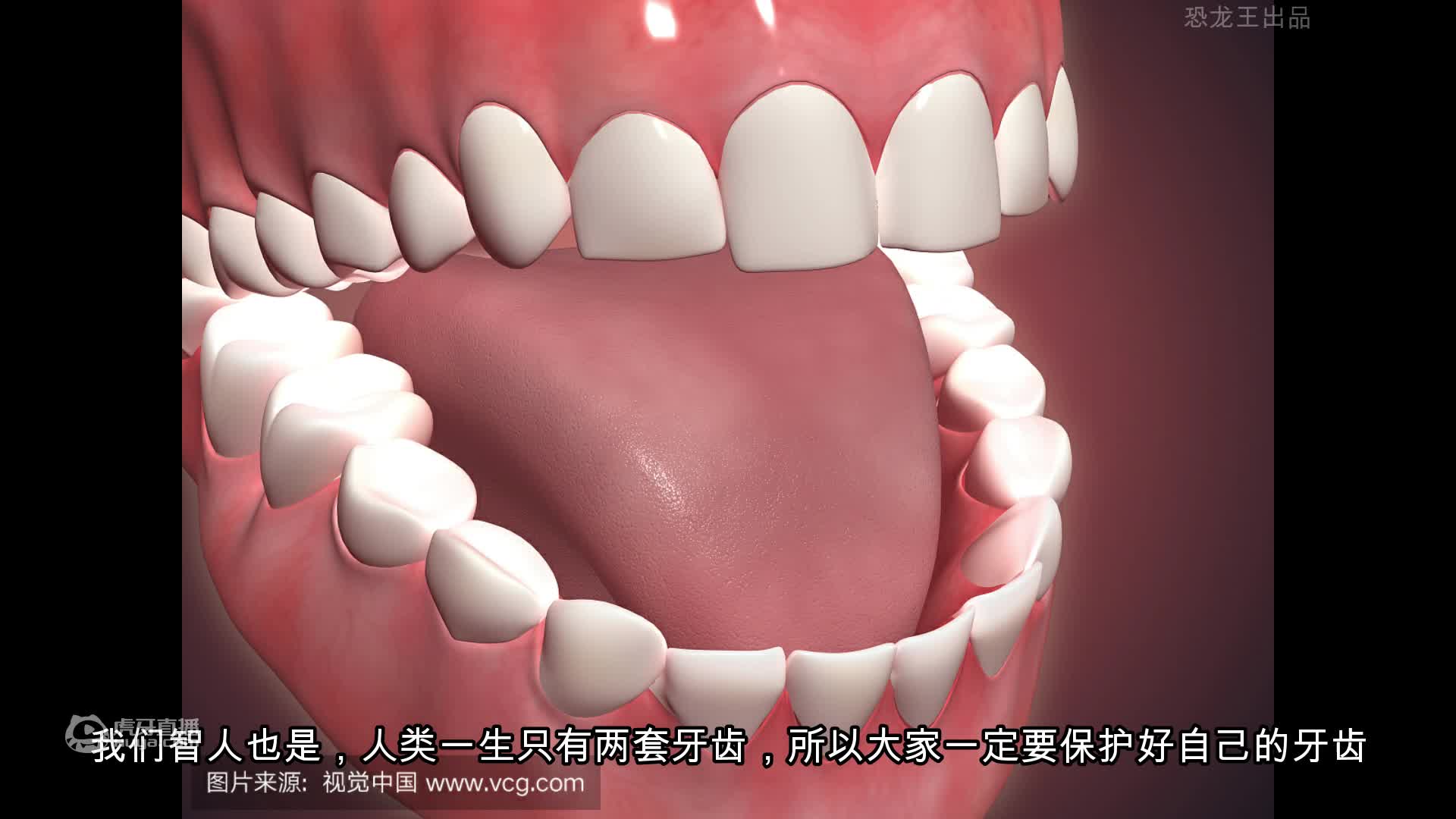 方舟区爱恐龙吗？【轮播】