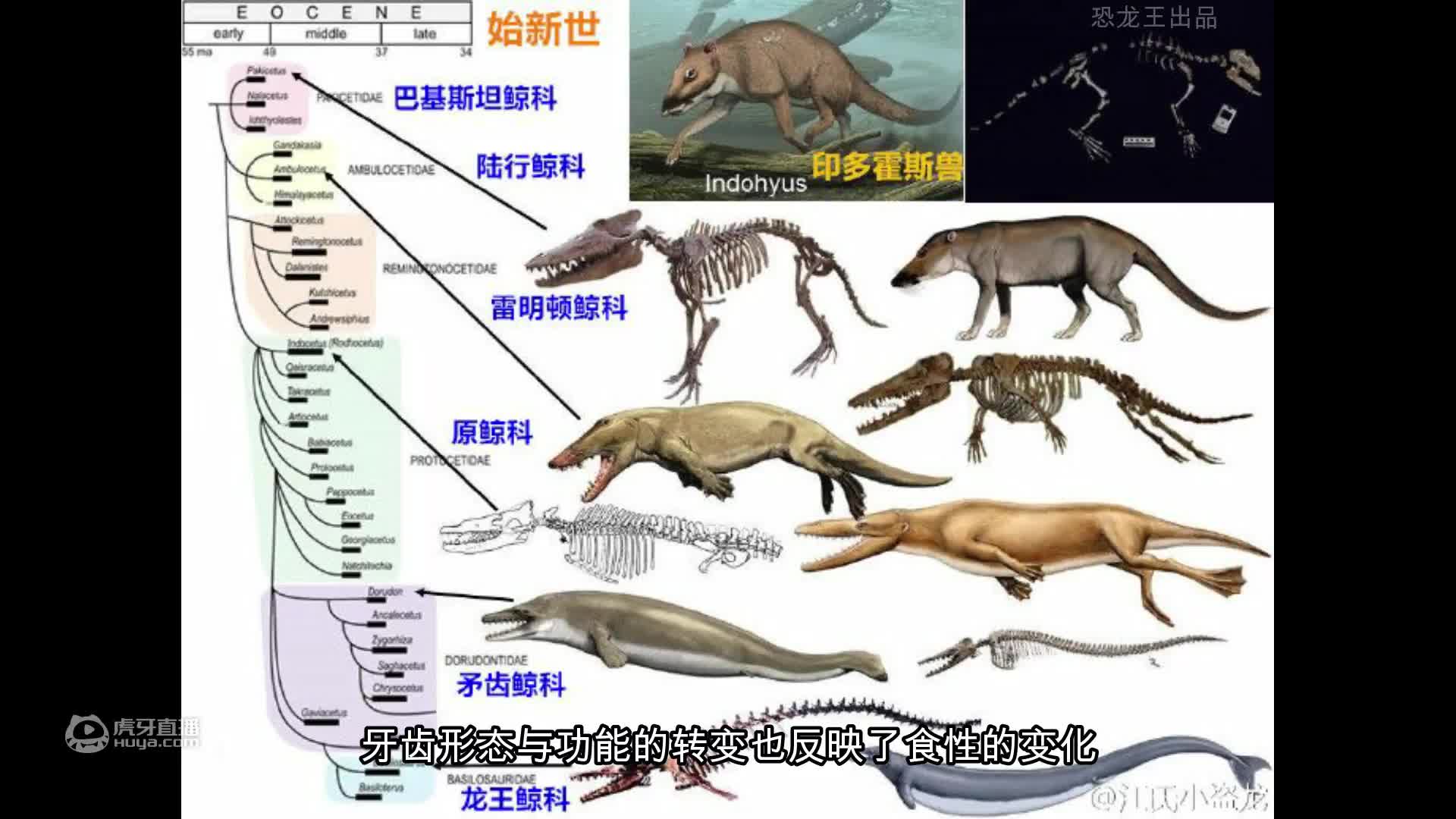 方舟区爱恐龙吗？【轮播】