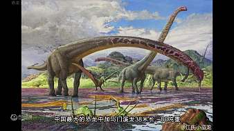 Dinosaur-king互動點播直播_Dinosaur-king視頻直播 - 虎牙直播
