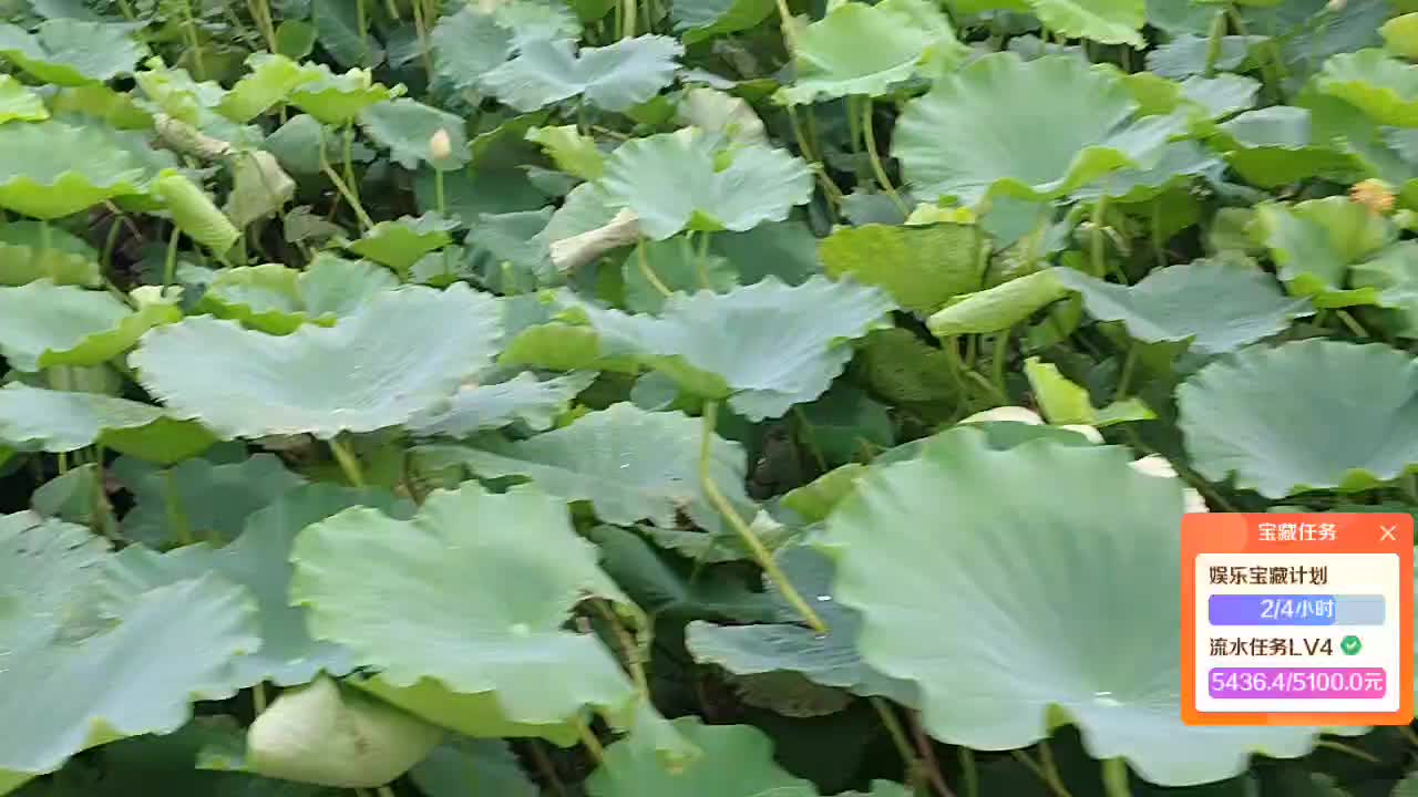 株洲到！
