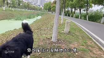 奧利奧成長日記戶外直播_奧利奧成長日記視頻直播 - 虎牙直播