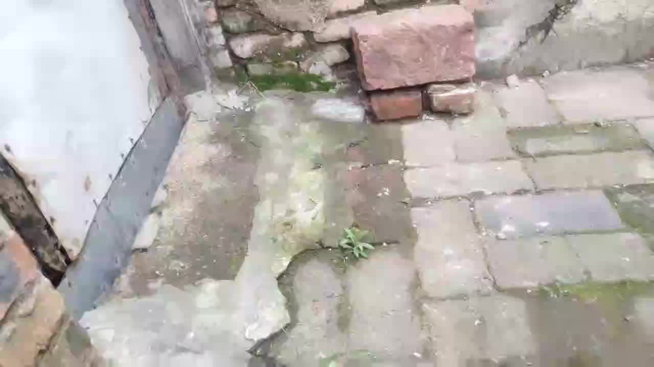 美好的生活来源于我们对未来的憧憬