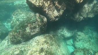 阿鐳同學(xué)戶外直播_阿鐳同學(xué)視頻直播 - 虎牙直播