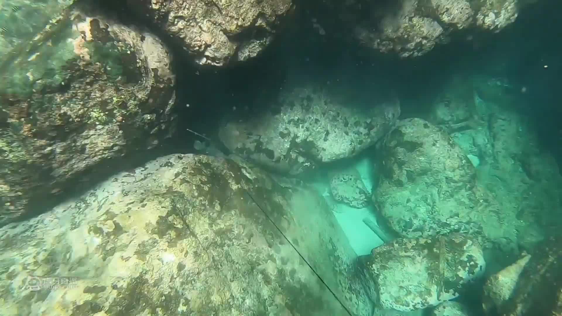 荒岛潜水，小伙潜水捕获金枪鱼和龙虾，船上的人瞬间沸腾起来