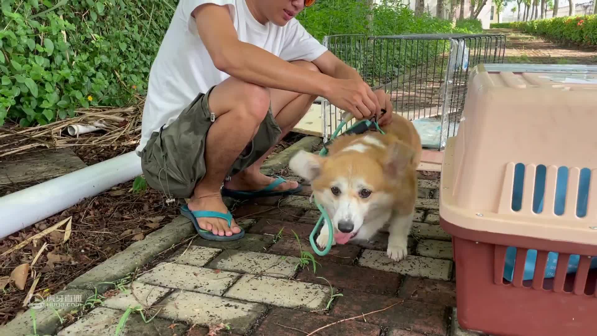荒岛潜水，小伙潜水捕获金枪鱼和龙虾，船上的人瞬间沸腾起来