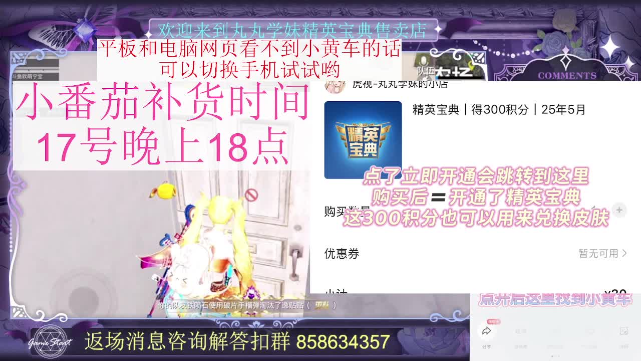 小番茄购买入口